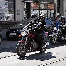 Galeria - 