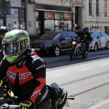 Galeria - 