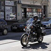 Galeria - 