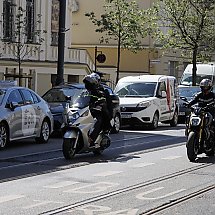 Galeria - 