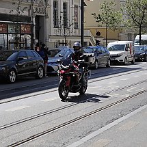 Galeria - 