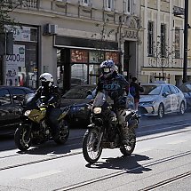 Galeria - 