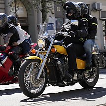 Galeria - 