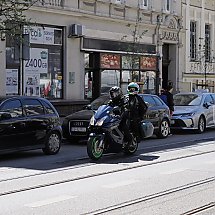 Galeria - 