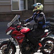 Galeria - 