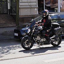 Galeria - 