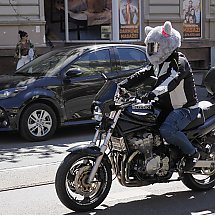 Galeria - 