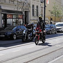 Galeria - 