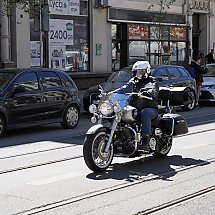 Galeria - 