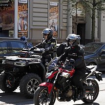 Galeria - 