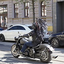 Galeria - 