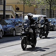 Galeria - 