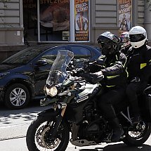 Galeria - 