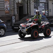 Galeria - 