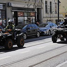 Galeria - 