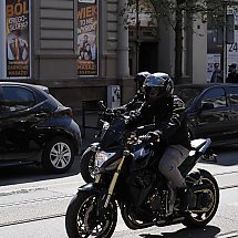 Galeria - 