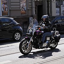 Galeria - 
