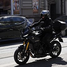 Galeria - 