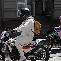 Galeria - 