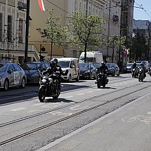 Galeria - 