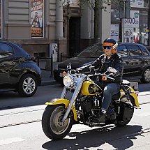 Galeria - 