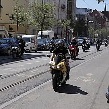 Galeria - 