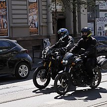 Galeria - 