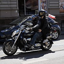 Galeria - 