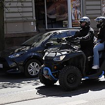 Galeria - 