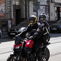 Galeria - 