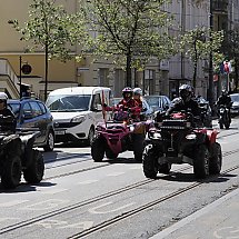 Galeria - 
