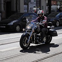 Galeria - 