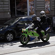 Galeria - 