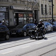 Galeria - 