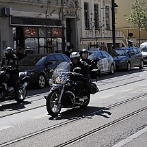 Galeria - 