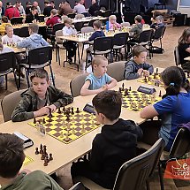 Galeria - 