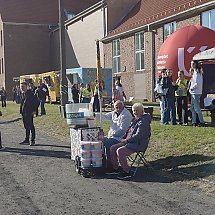 Galeria - 