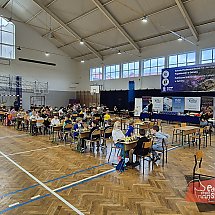 Galeria - 