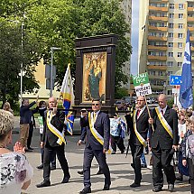 Galeria - 