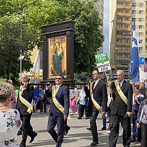 Galeria - 
