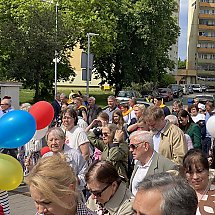 Galeria - 