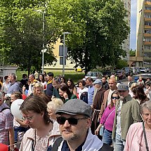 Galeria - 