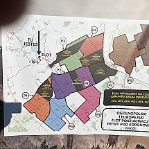 Galeria - 