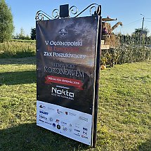 Galeria - 