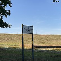 Galeria - 