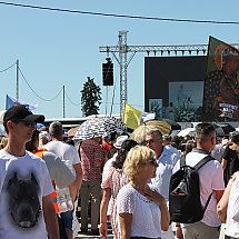 Galeria - 