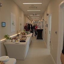 Galeria - 