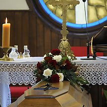 Galeria - 