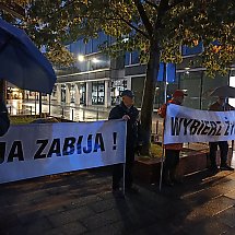 Galeria - 