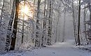 Śnieżyce na południu Polski. U nas bez większych zmian [POGODA]